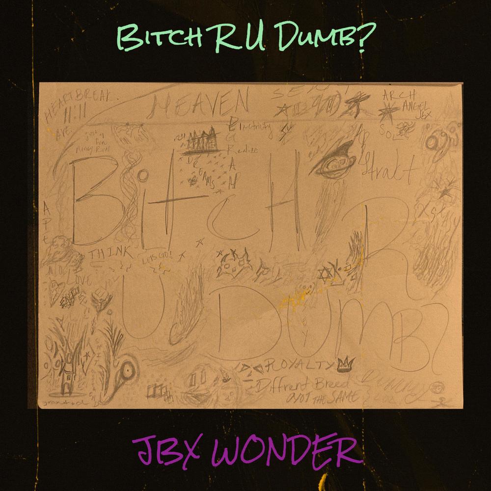 Bitch R U Dumb? (Explicit)