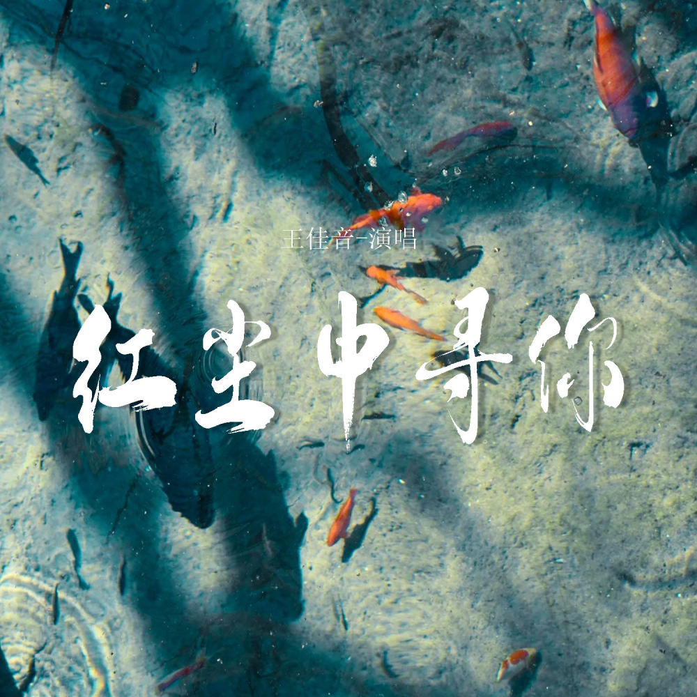红尘中寻你