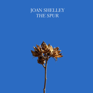 Joan Shelley的專輯The Spur