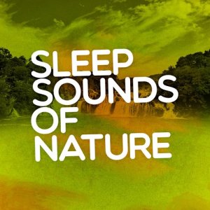 收聽The Natural Healing Project的Birds of the Woods歌詞歌曲