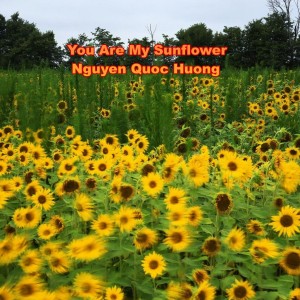 收听Nguyen Quoc Huong的You Are My Sunflower歌词歌曲