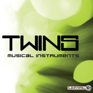 Listen to On The Way (Original Mix) song with lyrics from Twins