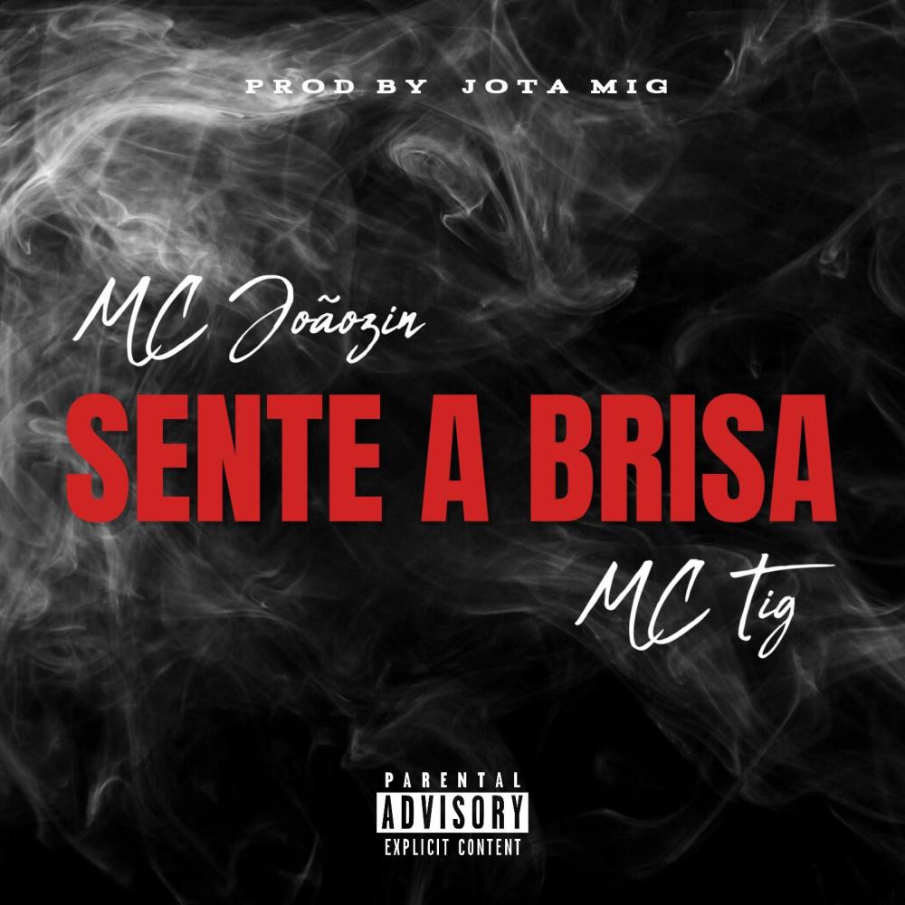 MC Joãozin - Sente A Brisa (feat. MC Tig) (Explicit)