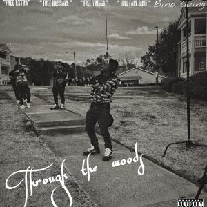 Savage Lil Reko的專輯Through the woods (Explicit)