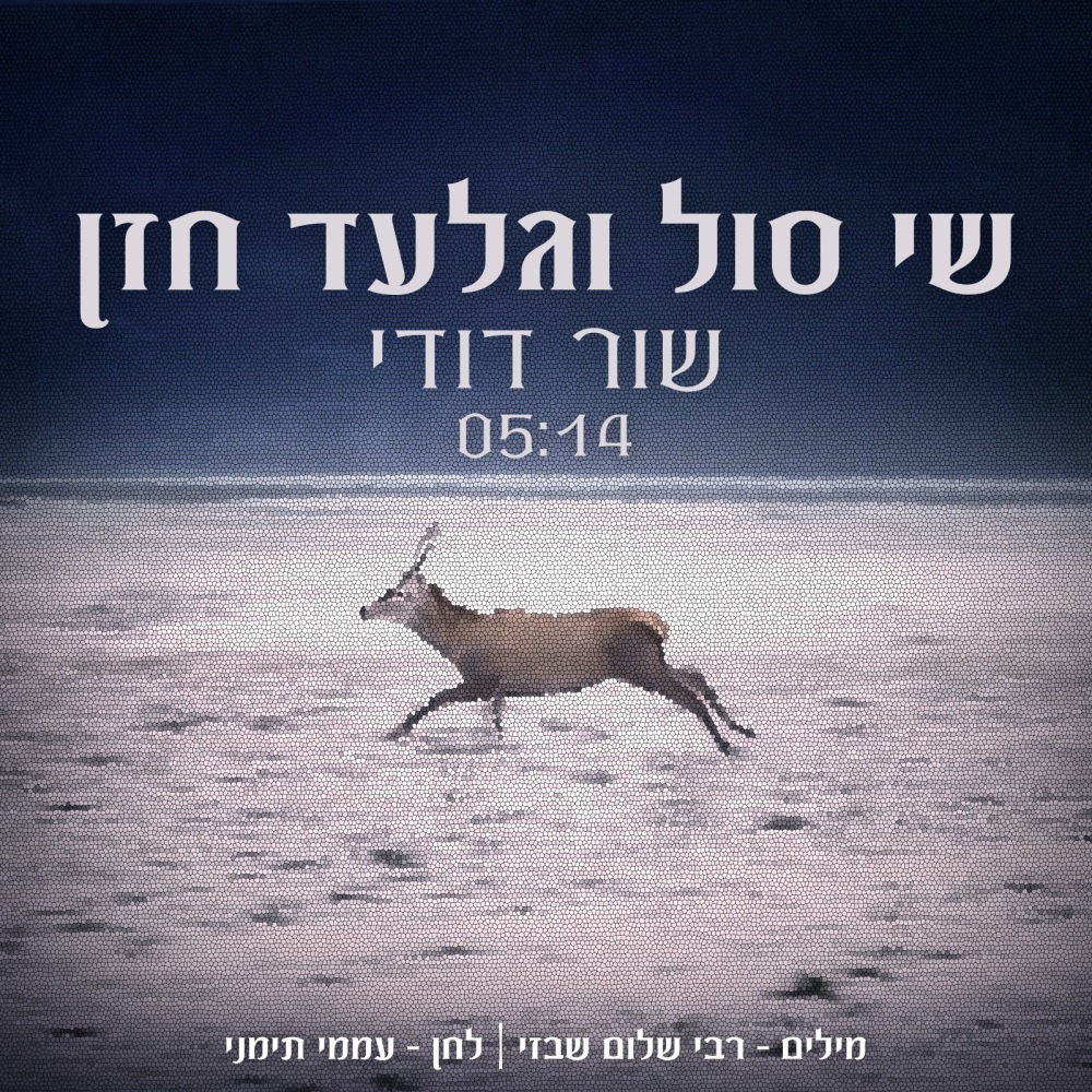 שור דודי