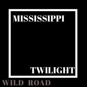 Mississippi Twilight的專輯Wild Road