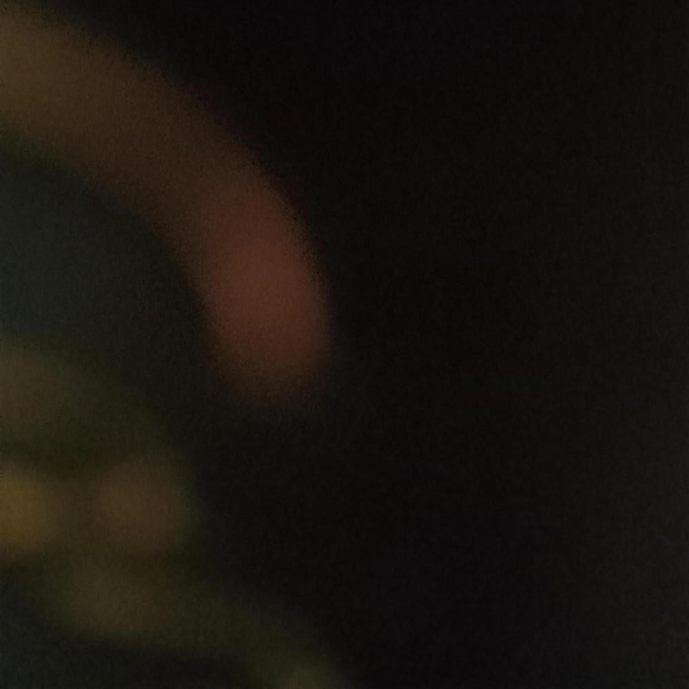 SNAPPIN (Explicit)