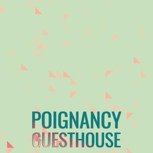 Various的专辑Poignancy Guesthouse
