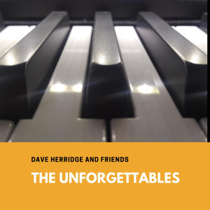 收聽Dave Herridge的Remembering Frank Sinatra - My Way歌詞歌曲