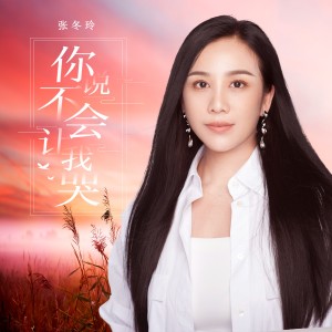 Album 你说不会让我哭 from 张冬玲