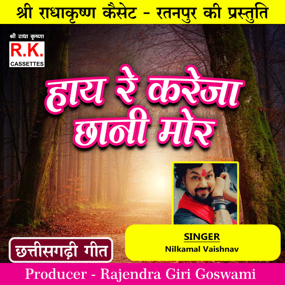 Hay Re Kareja Chani Mor (Best Cg Song)