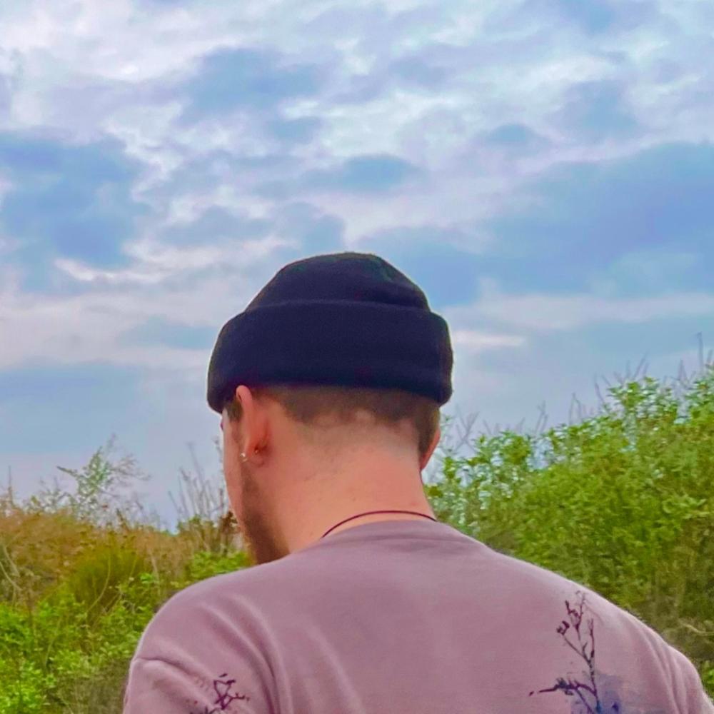 MODEL Y (bobby Remix)