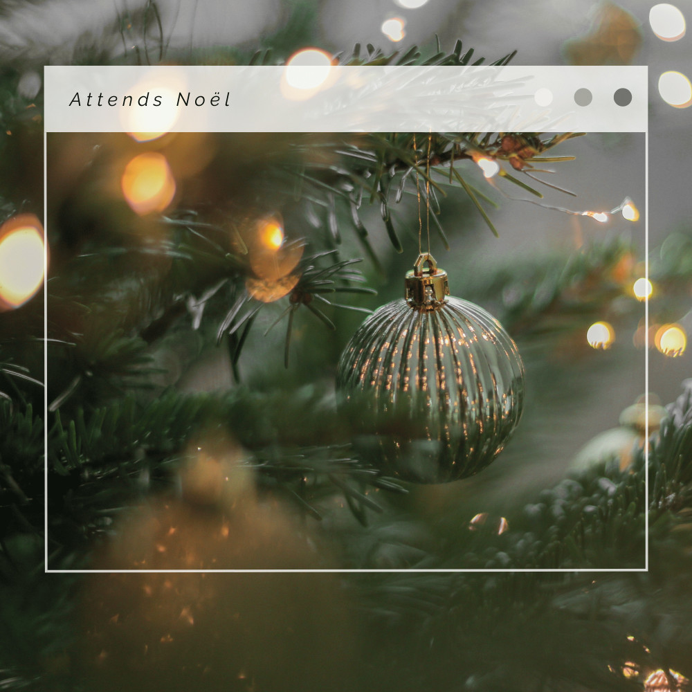 En route vers Noël: Mon Beau Sapin
