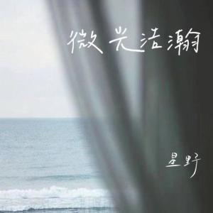 Album 微光浩瀚 oleh 星野