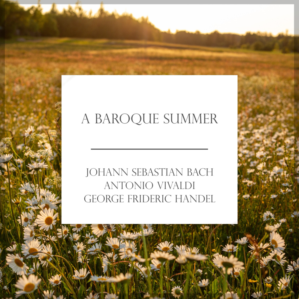 Handel: Recorder Sonata in D minor, Op. 1, No. 8a, HWV 367a: 4. Adagio