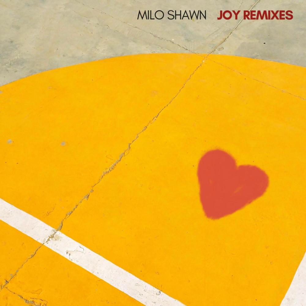 Joy (Cats-22 Remix)