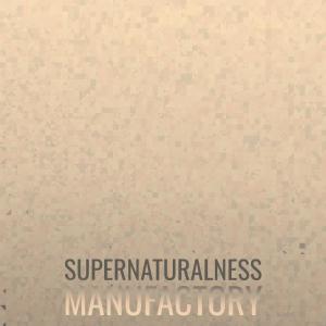 Various Artists的專輯Supernaturalness Manufactory