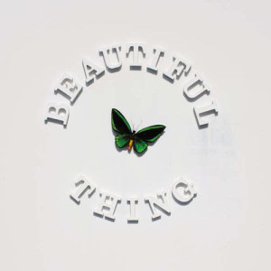 ดาวน์โหลดและฟังเพลง Beautiful Thing พร้อมเนื้อเพลงจาก The Stone Roses