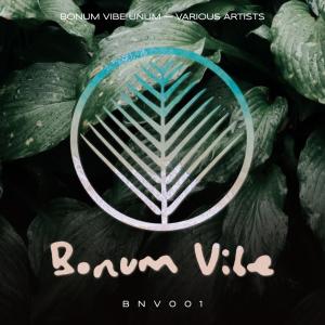 收聽Cardos的Bay 11歌詞歌曲