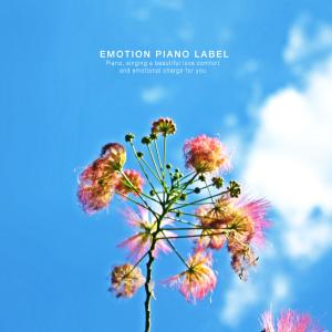 Album Comfortable emotional piano collection on the way home from 