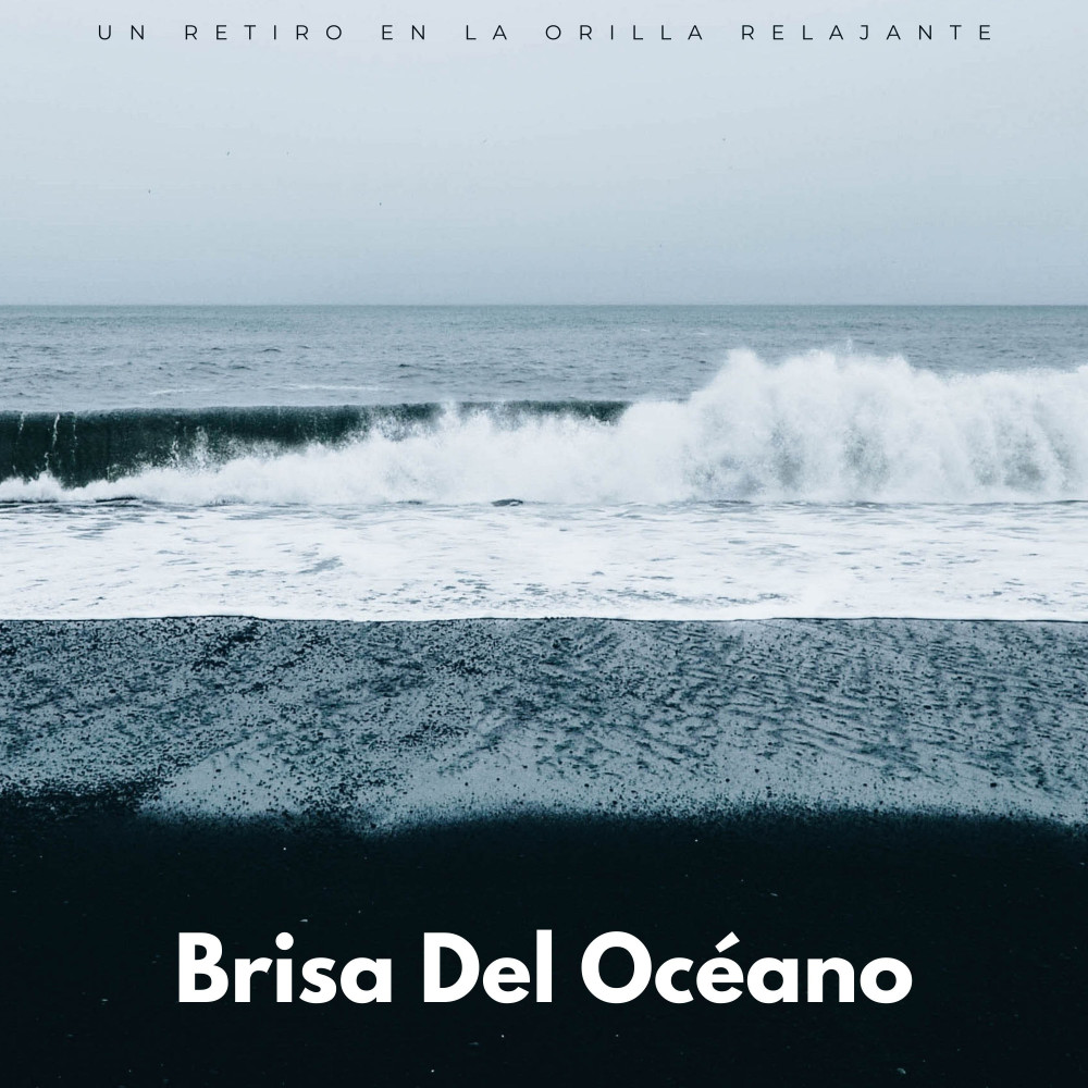 Oficina Marina Apacible