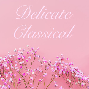 Delicate Classical dari Various Artists