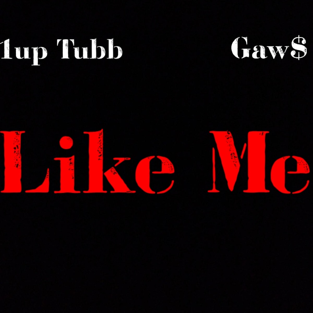 Like Me (feat. Gaw$) (Explicit)