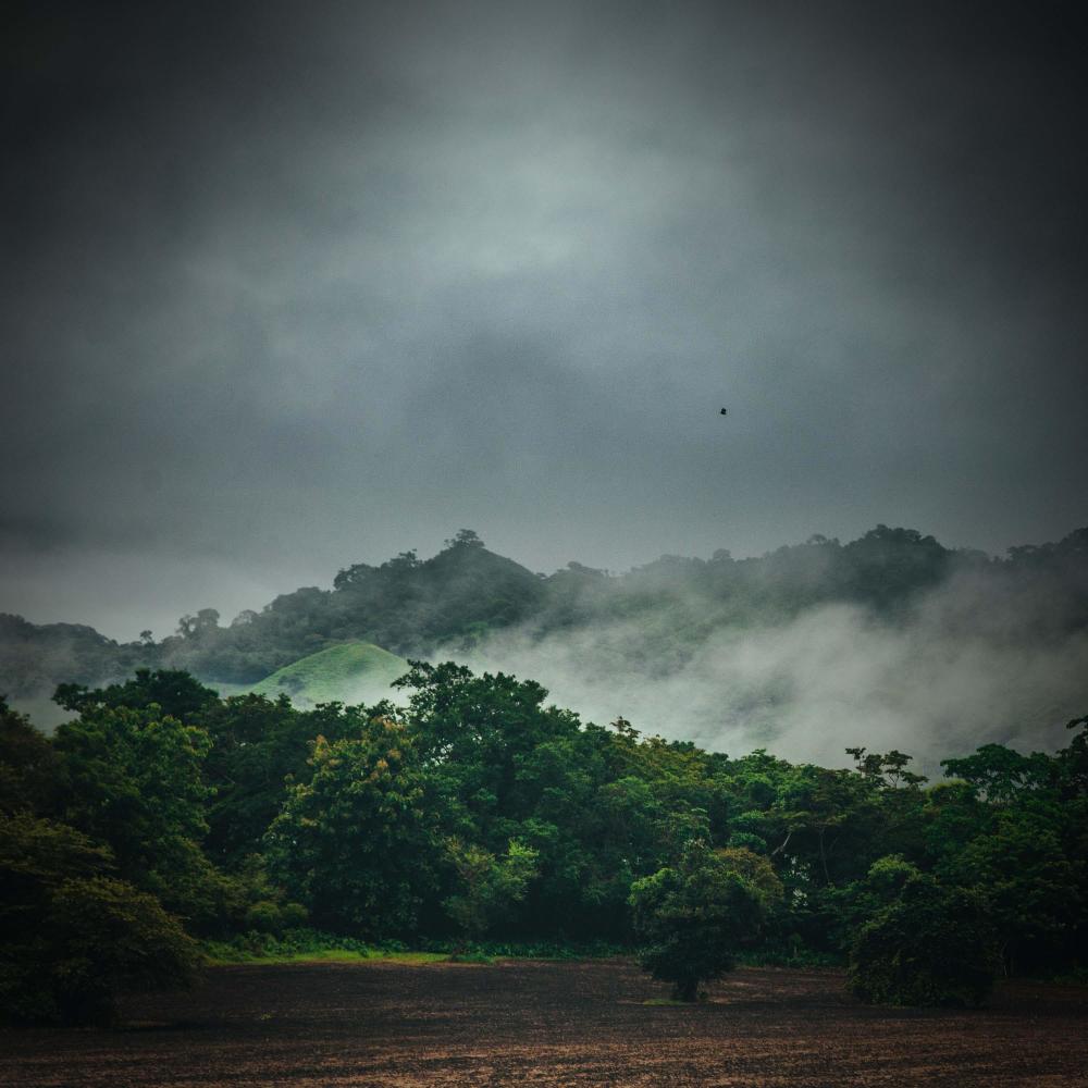 Pleasant Sounds of Rain and Tropical Thunderstorm for Relaxation and Spa