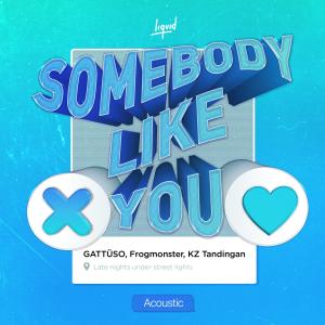 FrogMonster的專輯Somebody Like You (Acoustic)