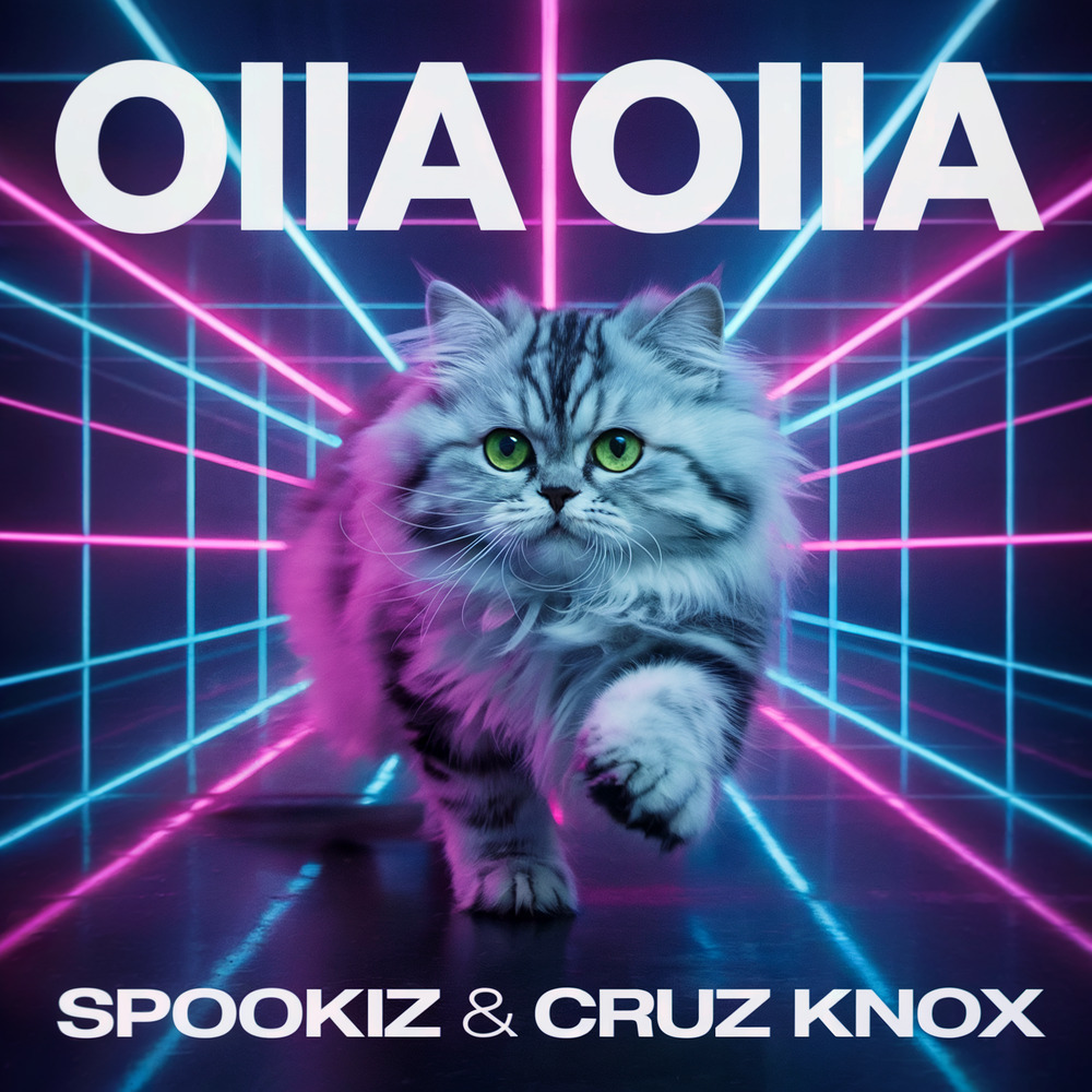 OIIA OIIA (Spinning Cat)