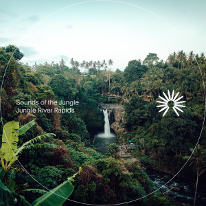 收聽Sounds of the Jungle的Flowing Jungle River歌詞歌曲
