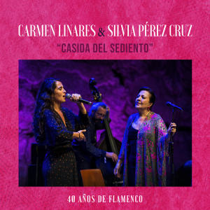 ดาวน์โหลดและฟังเพลง Casida del sediento (En Directo) พร้อมเนื้อเพลงจาก Carmen Linares