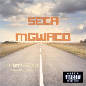 Album Seca Mgwaco (feat. Liz Harris) from Suicide