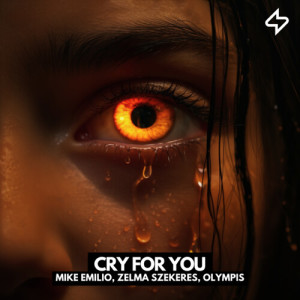 Album Cry For You from Mike Emilio
