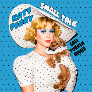 ดาวน์โหลดและฟังเพลง Small Talk (Sofi Tukker Remix) พร้อมเนื้อเพลงจาก Katy Perry