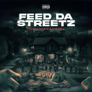 ดาวน์โหลดและฟังเพลง Feed Da Streetz (Explicit) พร้อมเนื้อเพลงจาก Trigga500k
