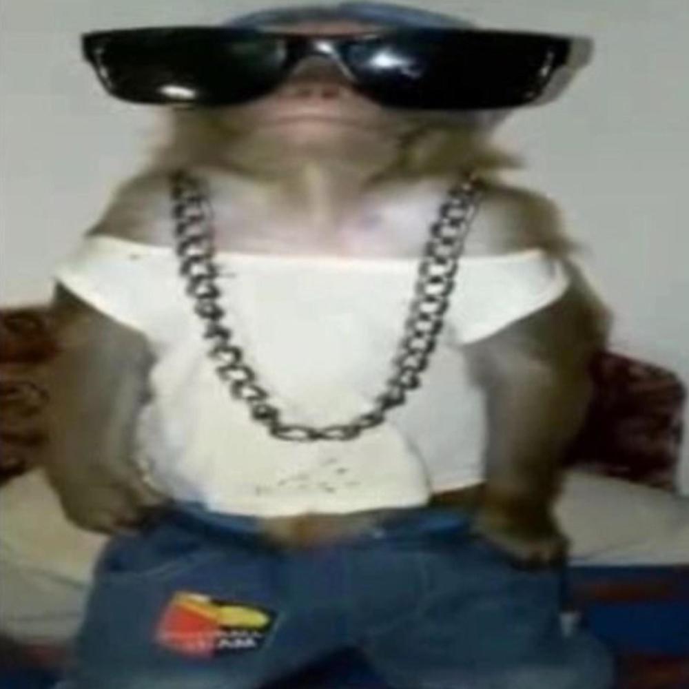 zesty nga anthem! (Explicit)