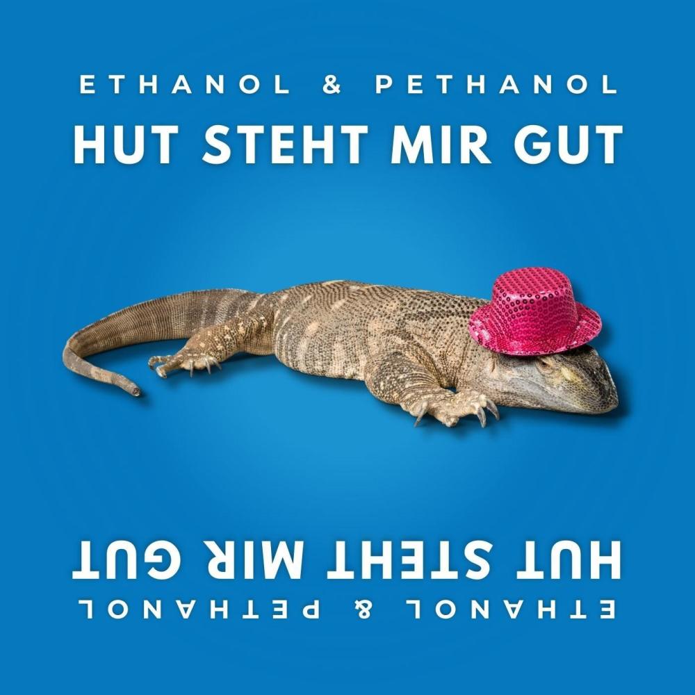 Hut steht mir gut! (Hut Hut)