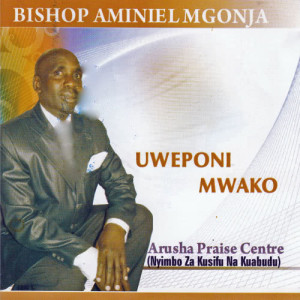 收聽Bishop Aminiel Mgonja的Elshadai歌詞歌曲