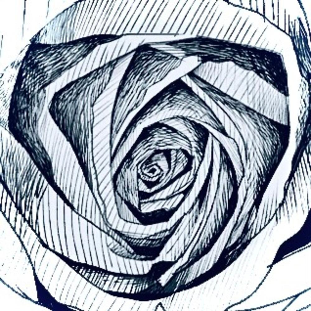 Paper View