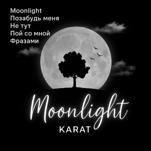 Album Moonlight from Karat