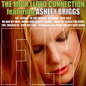 收聽The Mick Lloyd Connection的How Do I Live歌詞歌曲