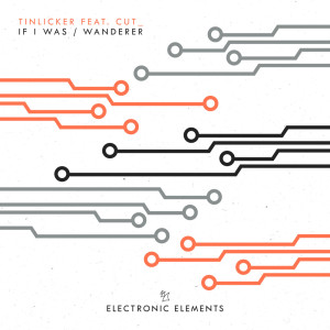 Listen to Wanderer (Extended Mix) song with lyrics from Tinlicker