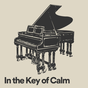 อัลบัม In the Key of Calm ศิลปิน Soft Piano Music