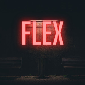 Dengarkan Flex lagu dari R3born dengan lirik