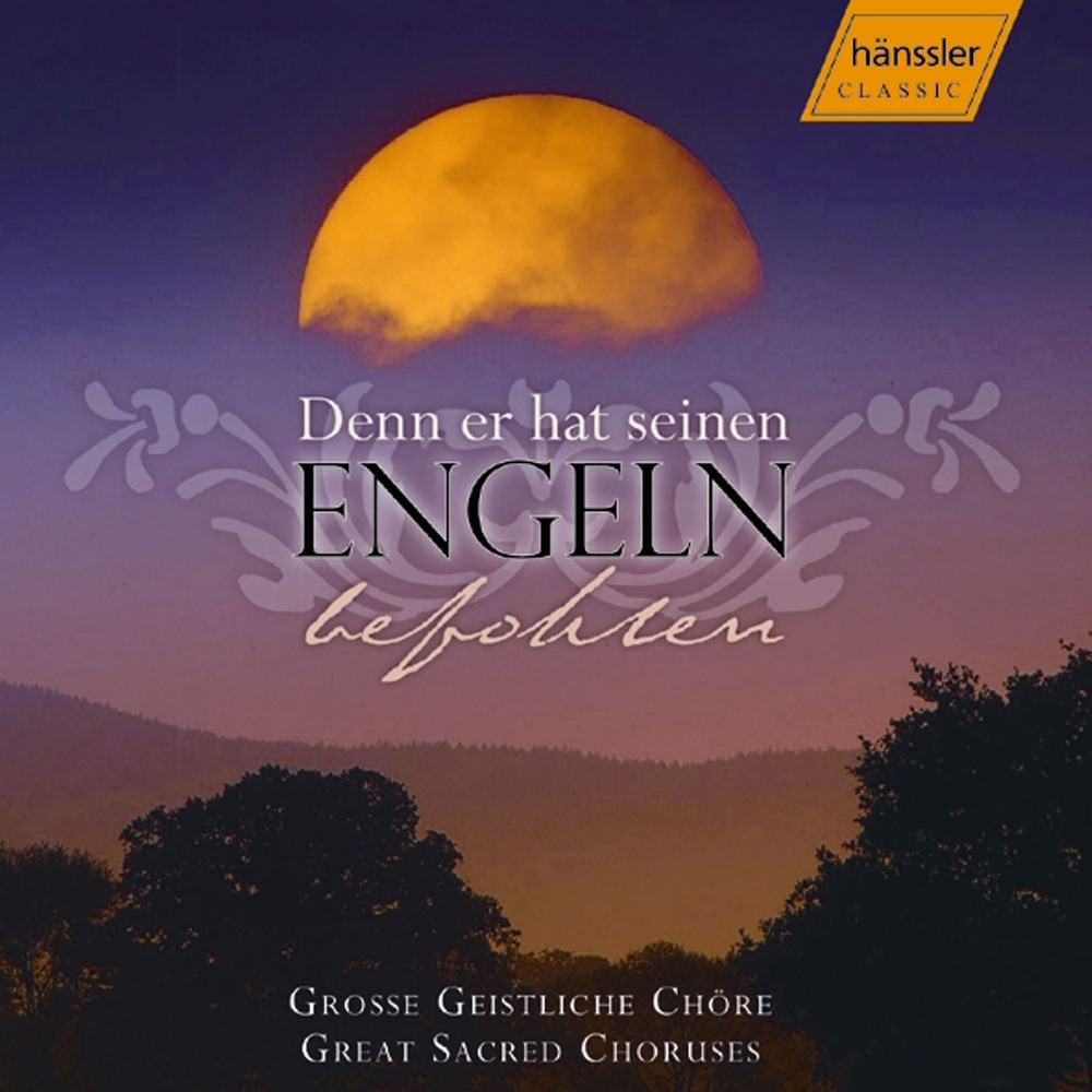 Ein deutsches Requiem (A German Requiem), Op. 45: Ein deutsches Requiem (A German Requiem), Op. 45: IV. Wie lieblich sind deine Wohnungen