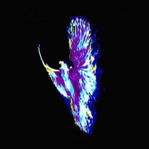 Dengarkan lagu Marco (the Phoenix) nyanyian JJamny dengan lirik