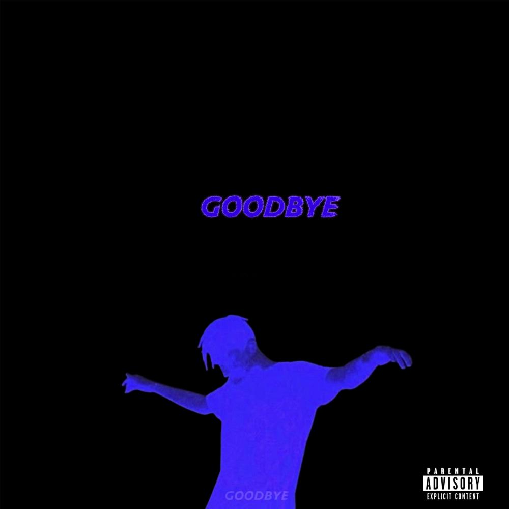 Goodbye (feat. Ally Sevani)