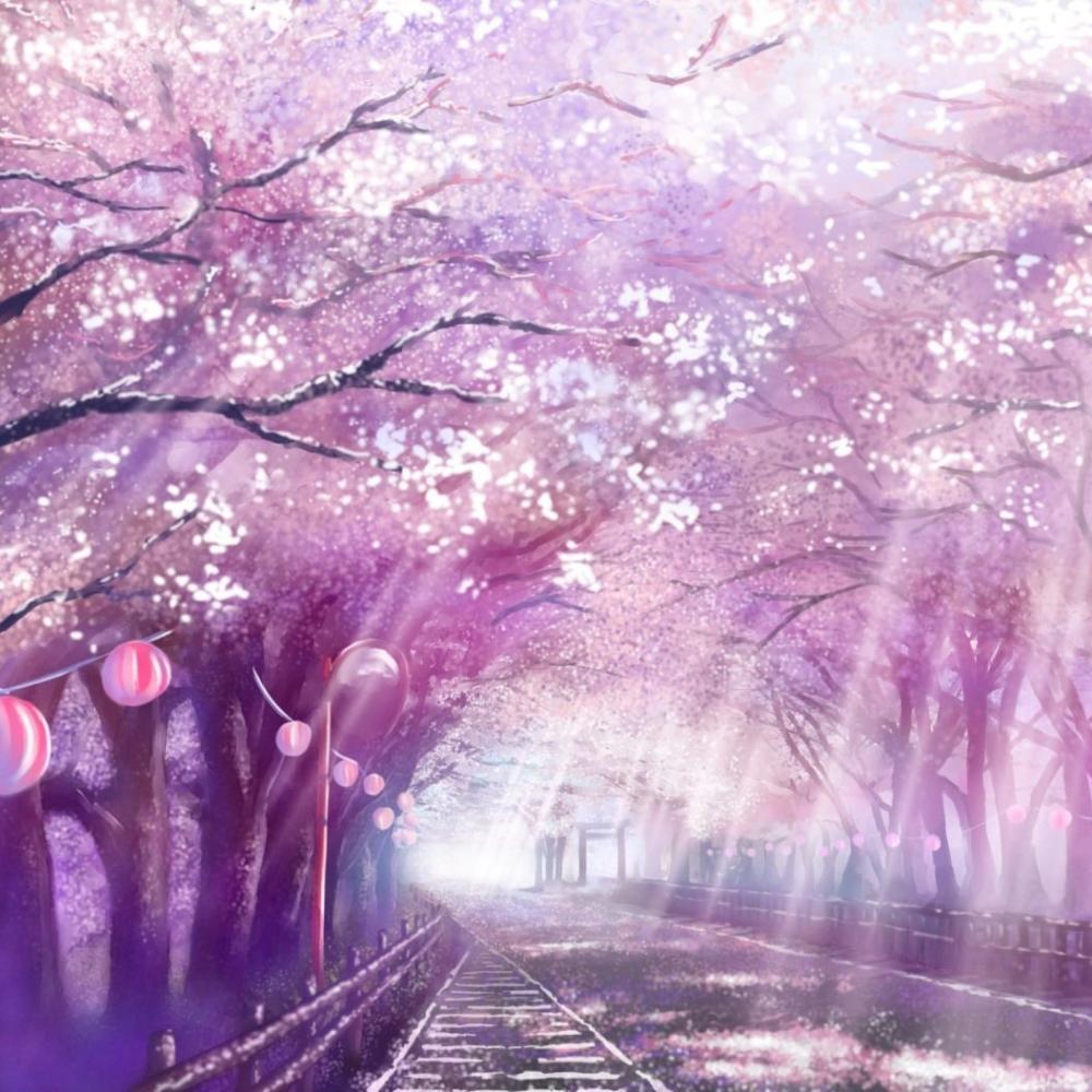 Japan w0nderland (Explicit)