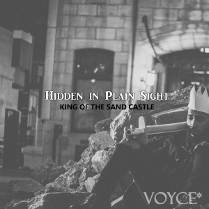 Album Hidden in Plain Sight: King of the Sand Castle (Explicit) from Stephen Voyce